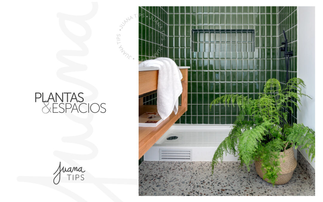 Juana Tips #12: Plantas y Espacios